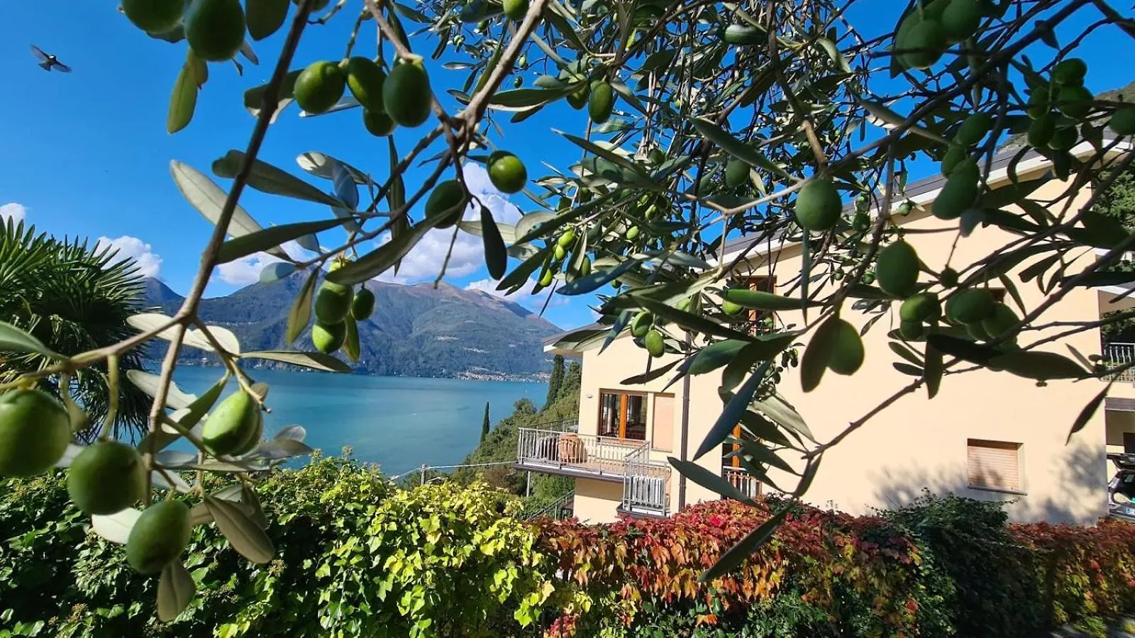 Villa Gli Ulivi - Bariloche Lake & Mountain View Perledo 0*,